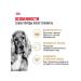 ROYAL CANIN Dog food dry Cocker Cocker Spaniel 3 kg - Buy Online on GoSupps.com