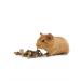 Herbs of the Crimean Mountains Dandelion roots for rodents 50 g - Buy Online on GoSupps.com