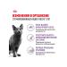 ROYAL CANIN Feed for sterilized cats of the elderly Sterilized 3.5 kg - Buy Online on GoSupps.com