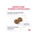 ROYAL CANIN Dry food for dogs sterilized for small rocks 0.8 kg - Buy Online on GoSupps.com
