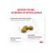 ROYAL CANIN Cat food dry Renal RF23 Renal 4 kg - Buy Online on GoSupps.com