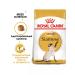 ROYAL CANIN Cat food dry siamese 2 kg - Buy Online on GoSupps.com