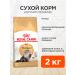 ROYAL CANIN Cat food dry Persian Adult 2 kg