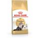 ROYAL CANIN Cat food dry Persian Adult 2 kg - Buy Online on GoSupps.com