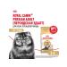 ROYAL CANIN Cat food dry Persian Adult 2 kg - Buy Online on GoSupps.com