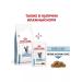 ROYAL CANIN Skin & Coat dry food for sterilized cats 1.5 kg - Buy Online on GoSupps.com