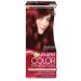 Garnier Hair dye tone 5.62 Royal grenade Color Sensation