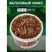 Big Tiny Hamster protein food a treat for rats and hedgehogs