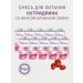 Nutricia Dietary nutrition 200ml with strawberries taste