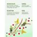 ESTEL Babayaga shampoo Restoring berry 250 ml - Buy Online on GoSupps.com