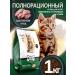 Gina Dry food for pregnant women feeding cats and kittens 1 kg