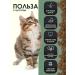 Gina Dry food for pregnant women feeding cats and kittens 1 kg - Buy Online on GoSupps.com