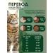 Gina Dry food for pregnant women feeding cats and kittens 1 kg - Buy Online on GoSupps.com