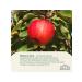 Ahmad Tea Apple Rhapsody Black tea in bags of 25 pcs 1.5g - Buy Online on GoSupps.com