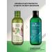 Green Mama Shampoo for oily hair and dry tips 400 ml - Buy Online on GoSupps.com