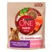 PURINA ONE Dog feed for Dry mini for digestion salmon 0.6 kg - Buy Online on GoSupps.com