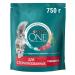 PURINA ONE Dry food for sterilized cats 0.75 kg - Buy Online on GoSupps.com