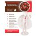 Areda phytocomplexes Cardomega Plus for the health of the heart and blood vessels - Buy Online on GoSupps.com