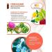 Areda phytocomplexes Hepatocholan plus phytocomplex for the liver - Buy Online on GoSupps.com