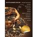THE RIGHT HERBS Tea Black Indian Masala with Putings Mullytein - Buy Online on GoSupps.com