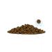 Forza10 Feed for small dogs dry diet fish for an allergy of 1.5 kg - Buy Online on GoSupps.com