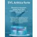 RichWay Arctic Forte Citamins and Peptides Havinson with oncology - Buy Online on GoSupps.com