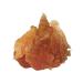 Country delicacies treat for dogs chicken slices tender 90 gr - Buy Online on GoSupps.com