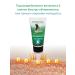 Spirulina - PHYTOSILA Face mask regenerating with vitamin E 150 ml - Buy Online on GoSupps.com