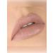 LUXVISAGE Lipstick Glam Look Cream Velvet Satin tone 319 - Buy Online on GoSupps.com