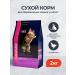 Eukanuba Dry food for kittens pregnant cats with chicken - 2 kg