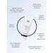 Dr Ceuracle Foam for washing with probiotics Pro Balance 150ml - Buy Online on GoSupps.com