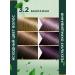 fito cosmetic Persistent hair dye Fito Color 3.2 eggplant 2 pcs - Buy Online on GoSupps.com