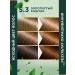 Fito cosmetic Persistent hair dye 5.3 golden chestnut 2 pcs - Buy Online on GoSupps.com
