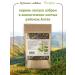 FitoWay Burdock root dried altai - Buy Online on GoSupps.com
