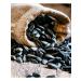 I LOVE and COOK Sunflower seeds raw indifferent large 3 kg - Buy Online on GoSupps.com