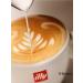illy Arabica coffee 100% 250 g - Buy Online on GoSupps.com