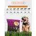 Grand Dog Dry food for dogs regular with beef scar10 kg - Buy Online on GoSupps.com