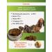 Favorite Udder beef goodies for dogs 50 g - Buy Online on GoSupps.com