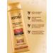 Restorex Shampoo power and shine for all hair types - Buy Online on GoSupps.com