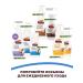 PALMER'S Set of lotion moisturizing massage for the body against stretch marks - Buy Online on GoSupps.com