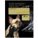 iv san bernard Shampoo for dogs and cats against irritation and dandruff - Buy Online on GoSupps.com