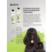 iv san bernard Shampoo for dogs and cats apple 500 ml - Buy Online on GoSupps.com