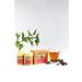 Alfit-10 gathering for sugar normalize - Buy Online on GoSupps.com