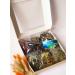 LLC MIP Baikaliya Gift tea from Lake Baikal in a box - Buy Online on GoSupps.com