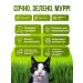 Sadovita Grass for cats for animals for germination seeds 0.5 kg - Buy Online on GoSupps.com
