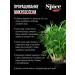 The Spice Kitchen Penalite Semyon 600g - Buy Online on GoSupps.com