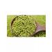 SunGrass Mash Bobs Mung Asian beans - 1 kg - Buy Online on GoSupps.com