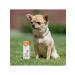 Dude Medical herbs are an anthrax for dogs 50 ml - Buy Online on GoSupps.com