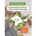 Tea traditions of Crimea Kramade red leaf hibiscus - Buy Online on GoSupps.com