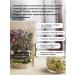 Tea traditions of Crimea Herbal tea Calm -toe Antistress - Buy Online on GoSupps.com